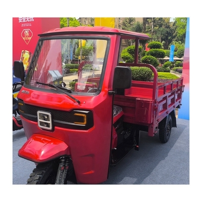 가솔린 트라이크 300cc 250cc 3바퀴 화물 오토바이크