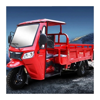 8 잎 스프링 후면 서스펜션 250cc 가솔린 오토바이 자동 변속기