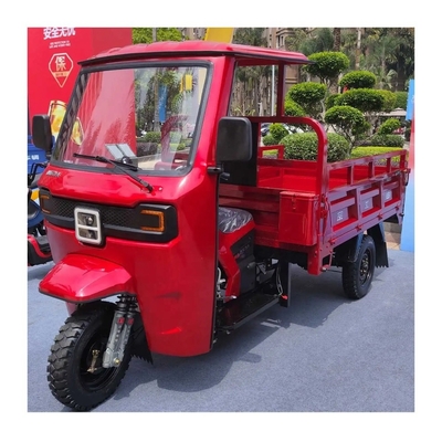 최대 속도 50-70Km/h 3륜 250cc 가솔린 엔진 동력 모터 화물 삼륜자동차