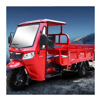 성인용 화물 운송용 250cc 가솔린 엔진 모터화 된 3륜 모터사이클