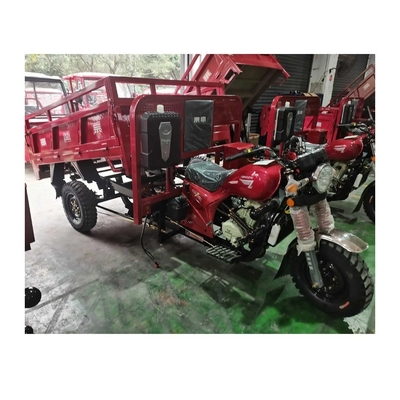 최대 속도 60km/h 모터 3륜 250cc 가솔린 엔진 성인용 화물 삼륜자전거