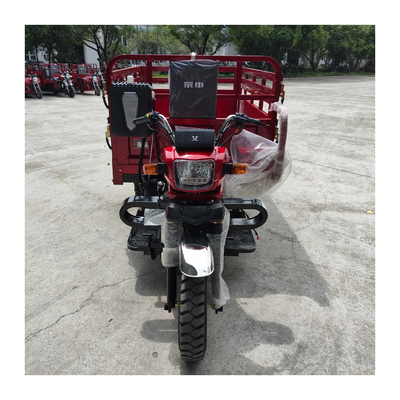 300cc 트라이사이클 8 잎 스프링을 강화 필리핀 모터리화된 슈퍼 모토 카고