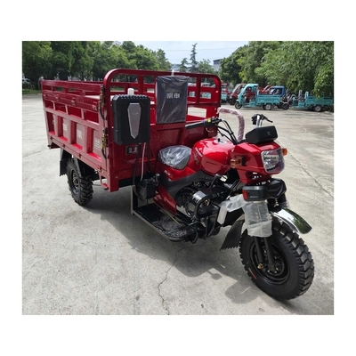 케냐의 300cc 연료 삼륜자전거 최대 속도 50-70Km/h 및 풀 플로팅 후방 축 조립
