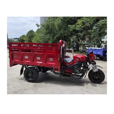 케냐의 300cc 연료 삼륜자전거 최대 속도 50-70Km/h 및 풀 플로팅 후방 축 조립