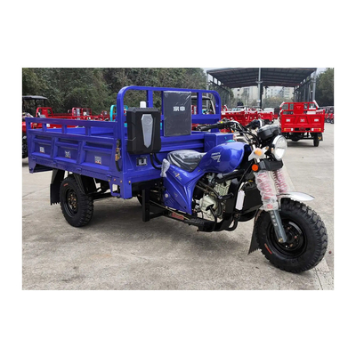 3500*1440*1450mm 250cc 엔진과 최대 속도 50-70Km/h의 모터 승용자전거