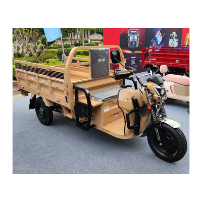 앞 드럼 후드 드럼 브레이크와 70-90km 운전 마일리지와 함께 3 바퀴 전기 Etrike