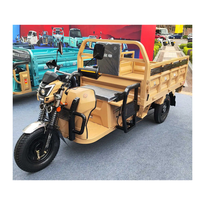 앞 드럼 후드 드럼 브레이크와 70-90km 운전 마일리지와 함께 3 바퀴 전기 Etrike