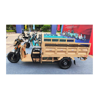 앞 드럼 후드 드럼 브레이크와 70-90km 운전 마일리지와 함께 3 바퀴 전기 Etrike